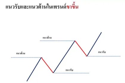 สอนแนวรับแนวต้าน