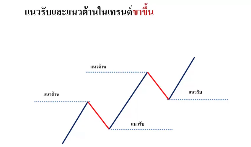 สอนแนวรับแนวต้าน