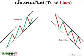การใช้เทรนด์ไลน์ สปีดไลน์
