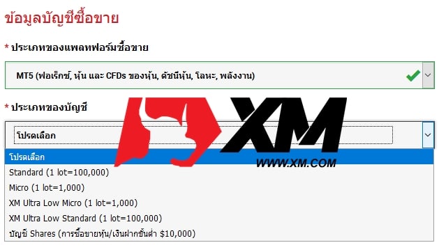 xm-account-type-micro-standard-ultralow-shares