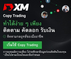 XM ไปหน้าระบบ xm copy trading 300×250